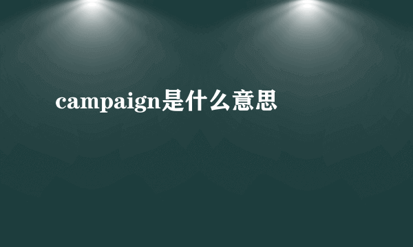 campaign是什么意思