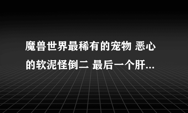 魔兽世界最稀有的宠物 恶心的软泥怪倒二 最后一个肝帝才有！