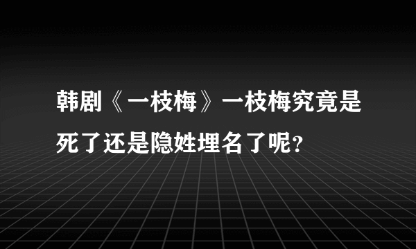 韩剧《一枝梅》一枝梅究竟是死了还是隐姓埋名了呢？