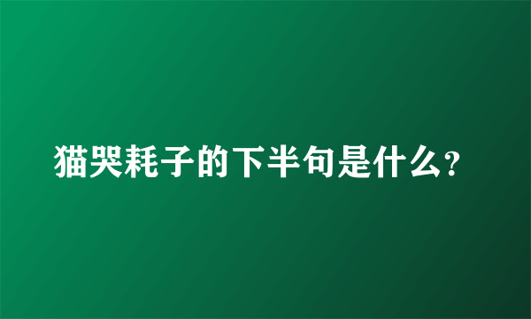 猫哭耗子的下半句是什么？