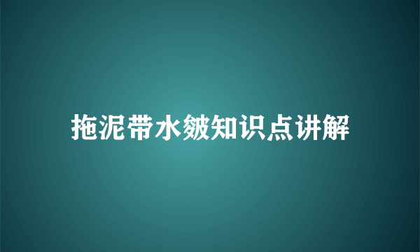 拖泥带水皴知识点讲解