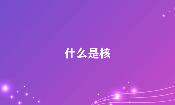 什么是核