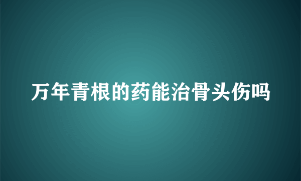 万年青根的药能治骨头伤吗