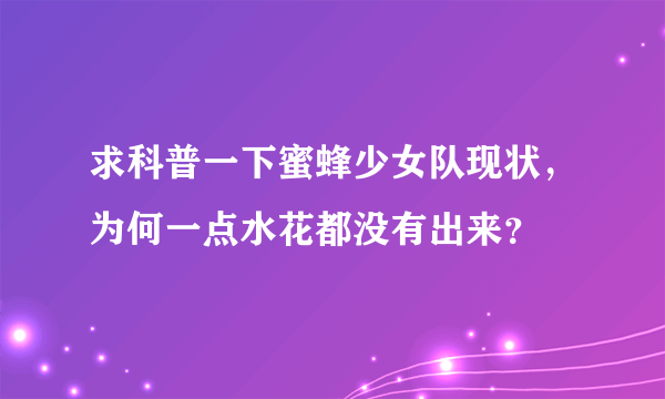 求科普一下蜜蜂少女队现状，为何一点水花都没有出来？