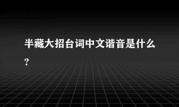 半藏大招台词中文谐音是什么？