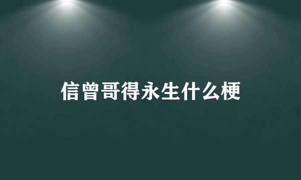 信曾哥得永生什么梗