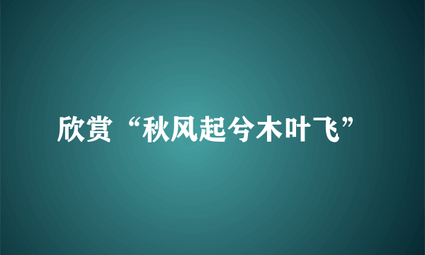 欣赏“秋风起兮木叶飞”