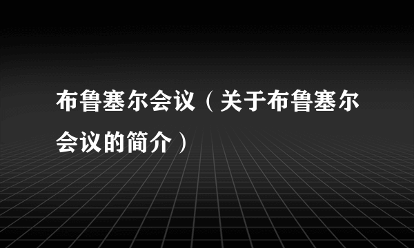 布鲁塞尔会议（关于布鲁塞尔会议的简介）