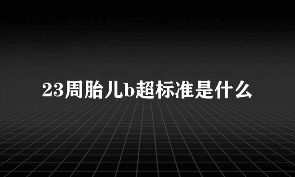 23周胎儿b超标准是什么