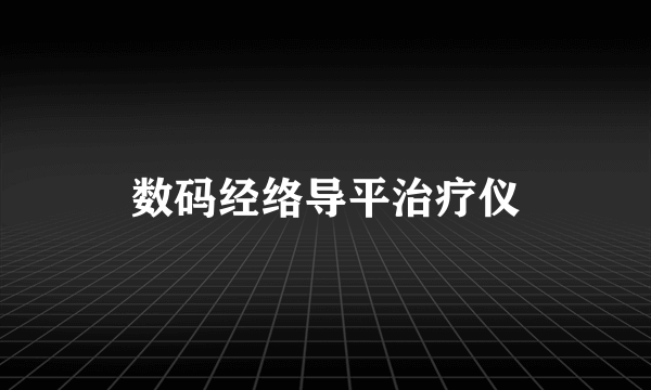 数码经络导平治疗仪