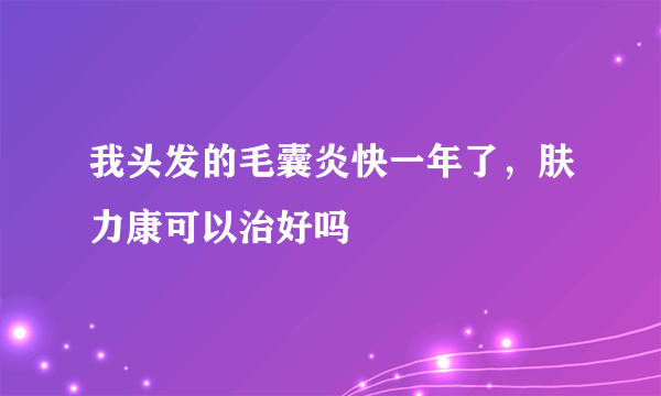 我头发的毛囊炎快一年了，肤力康可以治好吗