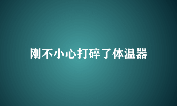 刚不小心打碎了体温器