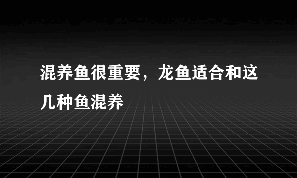 混养鱼很重要，龙鱼适合和这几种鱼混养