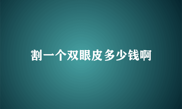 割一个双眼皮多少钱啊