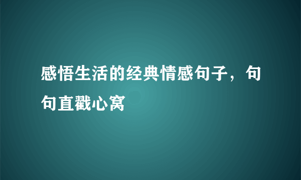 感悟生活的经典情感句子，句句直戳心窝