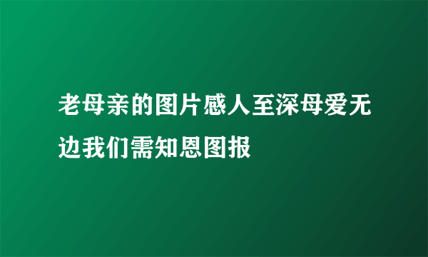 老母亲的图片感人至深母爱无边我们需知恩图报