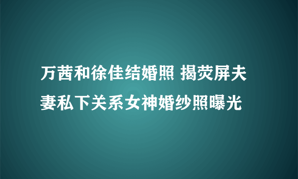 万茜和徐佳结婚照 揭荧屏夫妻私下关系女神婚纱照曝光