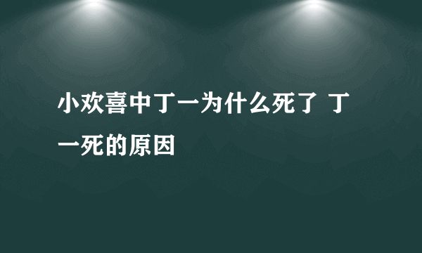 小欢喜中丁一为什么死了 丁一死的原因