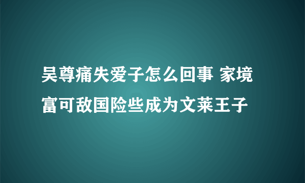 吴尊痛失爱子怎么回事 家境富可敌国险些成为文莱王子