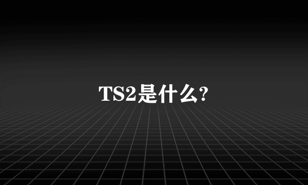 TS2是什么?