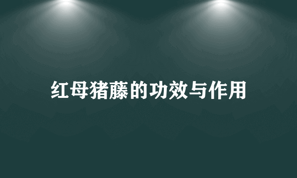 红母猪藤的功效与作用