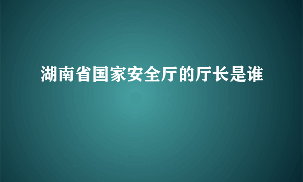 湖南省国家安全厅的厅长是谁