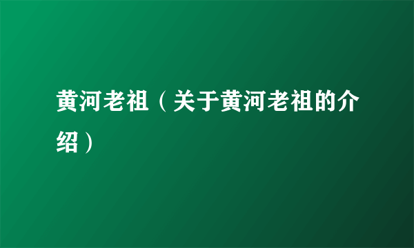 黄河老祖（关于黄河老祖的介绍）