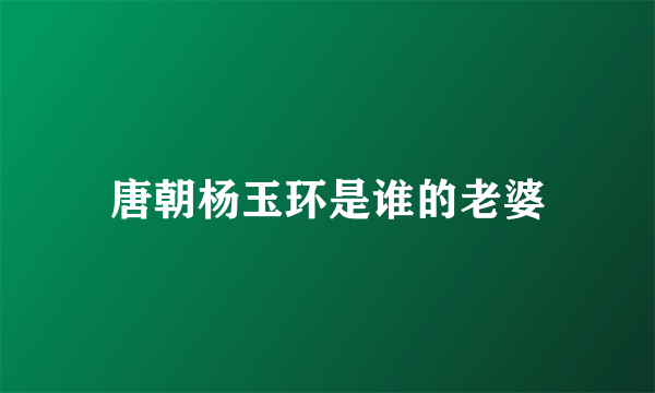 唐朝杨玉环是谁的老婆