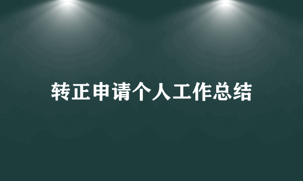 转正申请个人工作总结