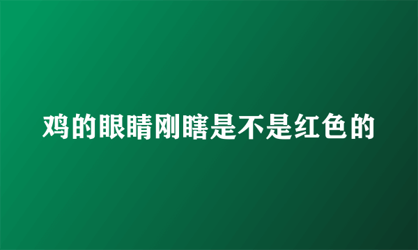 鸡的眼睛刚瞎是不是红色的