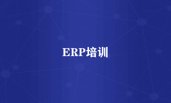 ERP培训