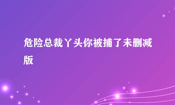 危险总裁丫头你被捕了未删减版