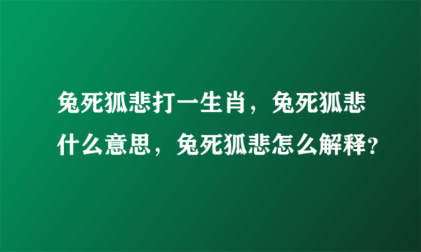 兔死狐悲打一生肖，兔死狐悲什么意思，兔死狐悲怎么解释？