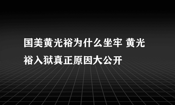 国美黄光裕为什么坐牢 黄光裕入狱真正原因大公开