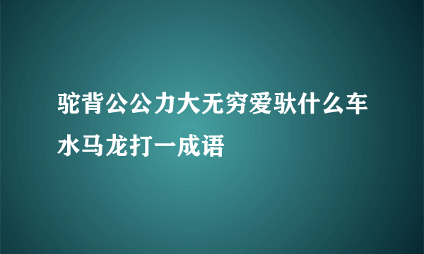 驼背公公力大无穷爱驮什么车水马龙打一成语