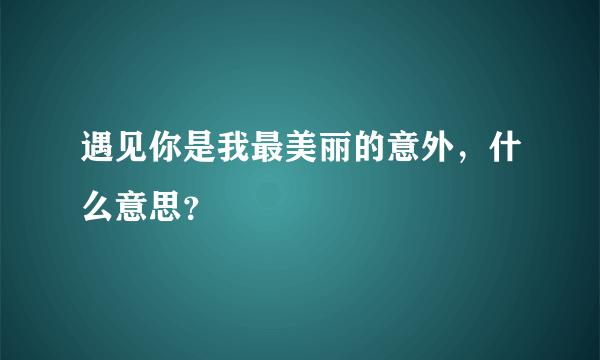 遇见你是我最美丽的意外，什么意思？