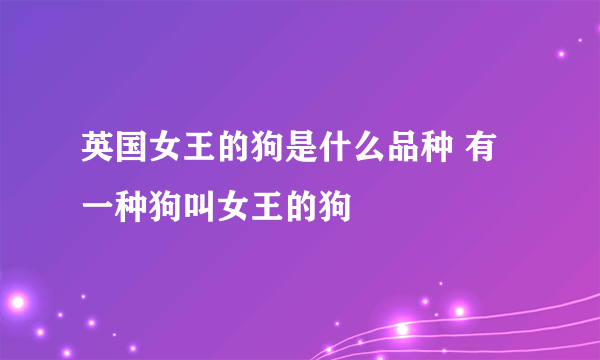 英国女王的狗是什么品种 有一种狗叫女王的狗