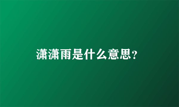 潇潇雨是什么意思？