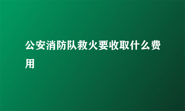 公安消防队救火要收取什么费用