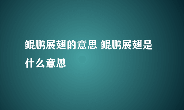 鲲鹏展翅的意思 鲲鹏展翅是什么意思