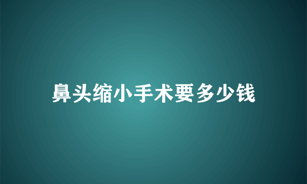 鼻头缩小手术要多少钱