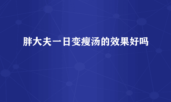 胖大夫一日变瘦汤的效果好吗