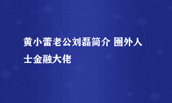 黄小蕾老公刘磊简介 圈外人士金融大佬