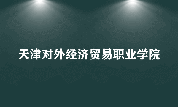 天津对外经济贸易职业学院