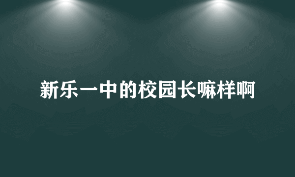 新乐一中的校园长嘛样啊