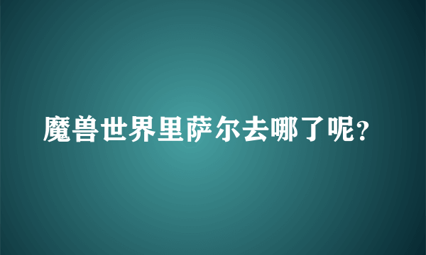 魔兽世界里萨尔去哪了呢？