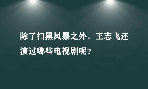 除了扫黑风暴之外，王志飞还演过哪些电视剧呢？