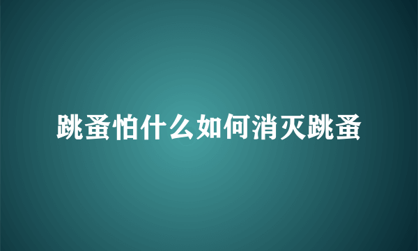 跳蚤怕什么如何消灭跳蚤