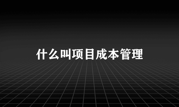 什么叫项目成本管理