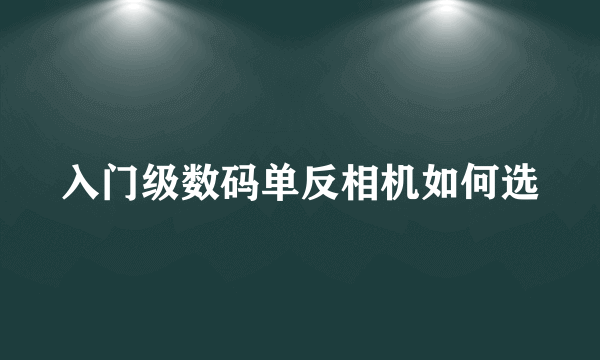 入门级数码单反相机如何选